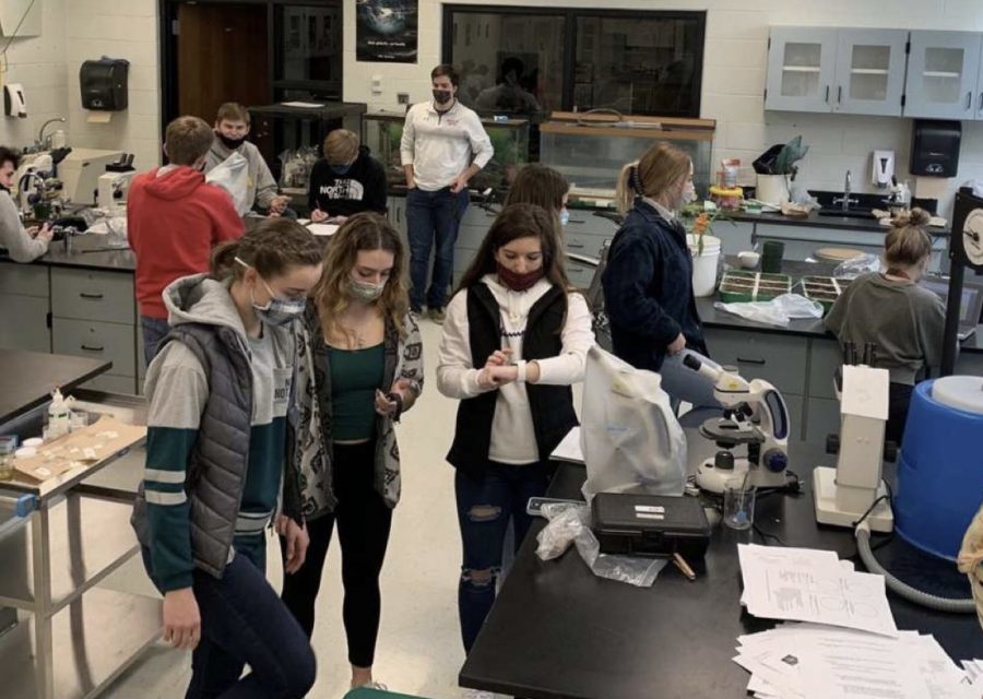 Seniors and juniors in science teacher Dave Reich’s Advanced Biology test their projects. Each lab group had to test multiple subjects to get accurate results. “An advanced science lab class forces students to be creative scientifically and develop 