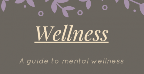 A guide to wellness