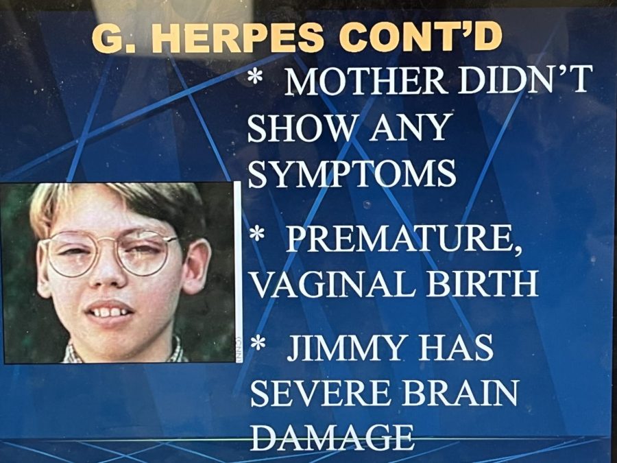 Herpes is one of many STDs, as explained by Science teachers slide.