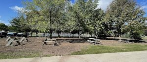School garden after excavating and removing the old grass, and woodchips.