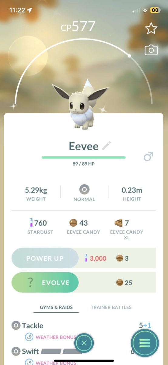 A shiny Eevee I caught while walking a route in town that shows the combat power as well as the candies I’ve earned from it. Routes are paths that players can follow to receive rewards including Zygarde cells, which are used to evolve the legendary Zygarde.
