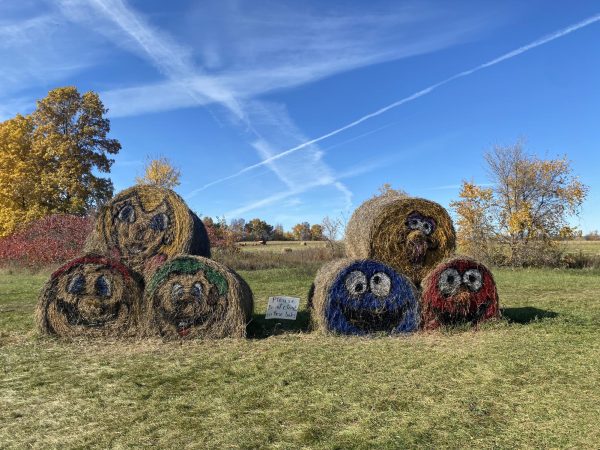 Painted hay bales at Cuff Farms depict well known characters from both Nintendo and Sesame Street.