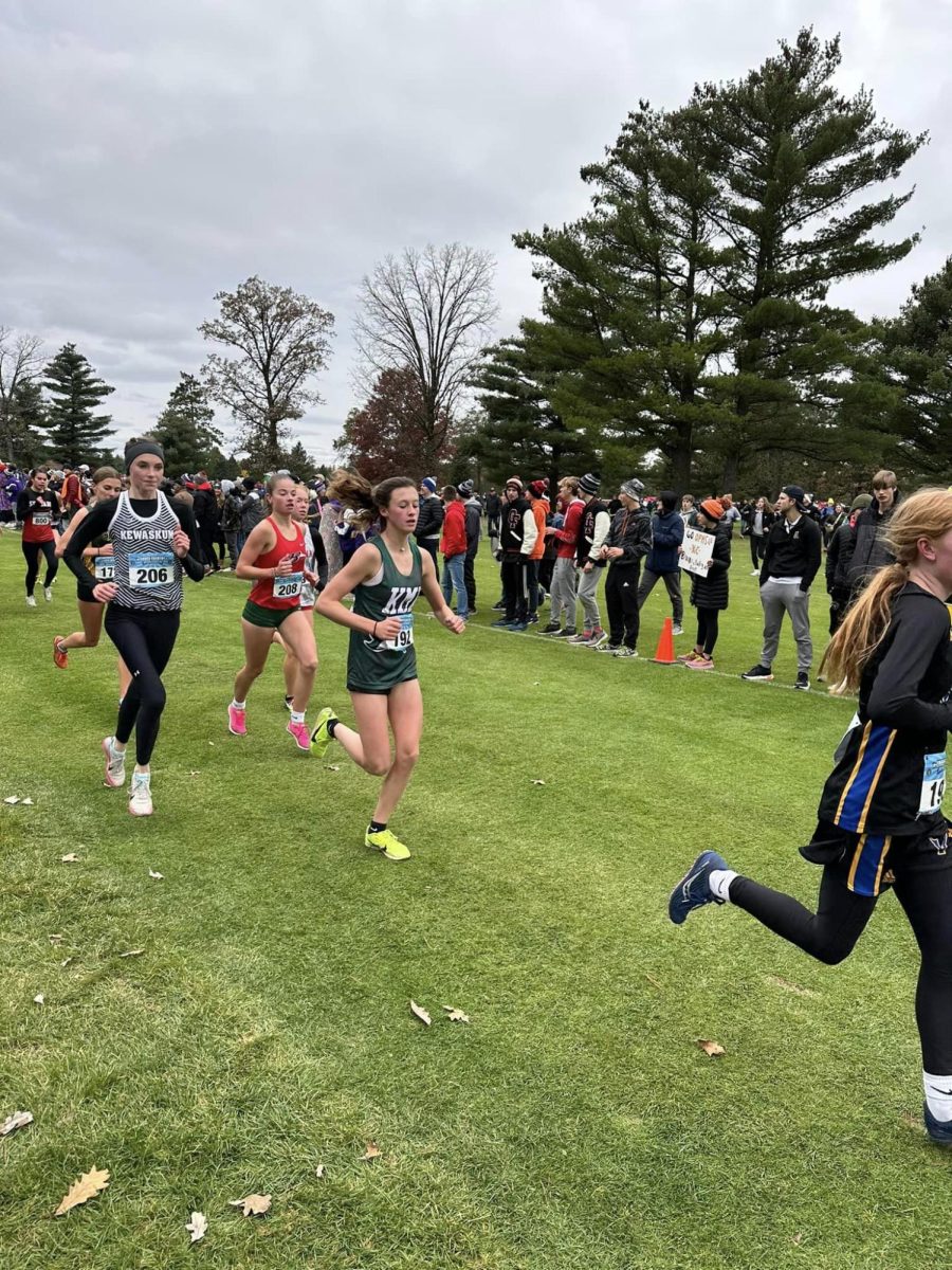 Senior Emma Boegh competes in the state meet in Wisconsin Rapids on Oct. 28. She placed 40th. 