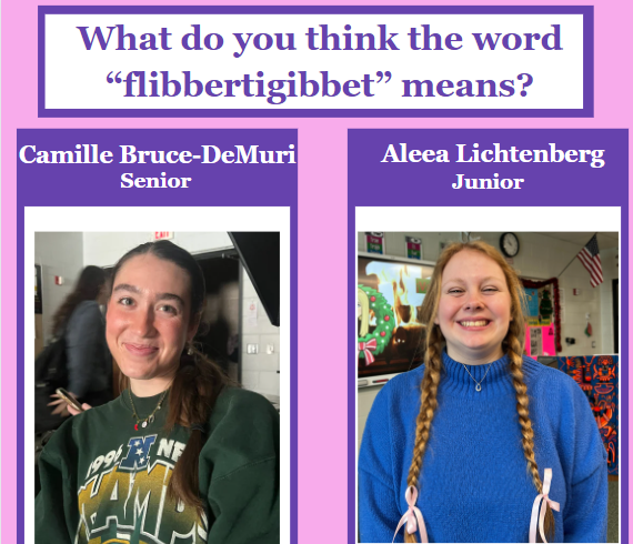 Photo poll: What do you think the word flibbertigibbet means?