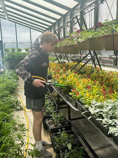 Sophomore Blake Mertens waters the plants in the greenhouse to get ready for the plant sale on May 11.