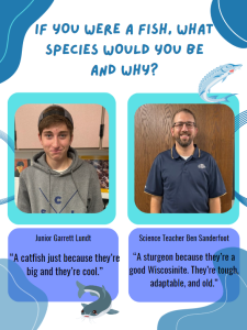 The Red 'n' Green asked four different people what species of fish they would be and why.