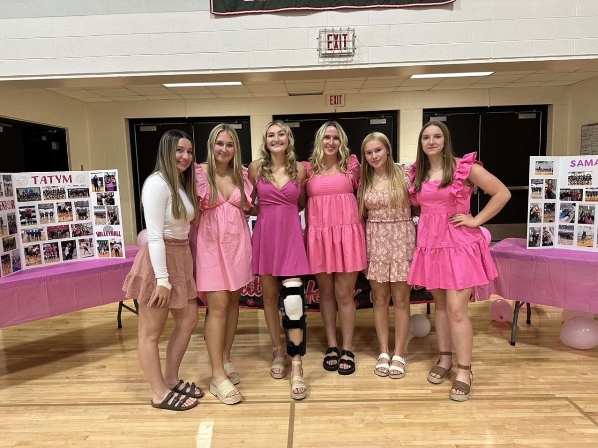 Berlin hosted a home pink out game on senior night