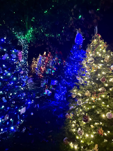 Different businesses and organizations decorated trees at Nathan Strong Park during the 39th annual Christmas tree lighting and lighted parade.

