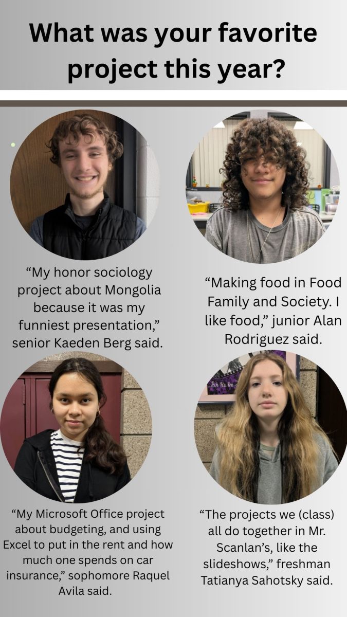 The Red 'n' Green asked students what their favorite project this year was.