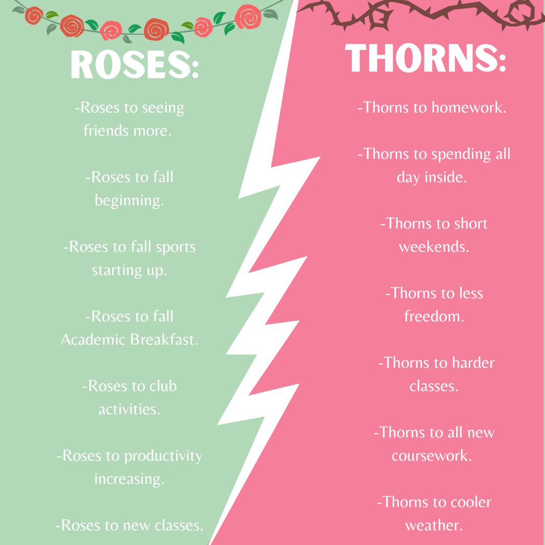 Roses and Thorns: Back To School edition