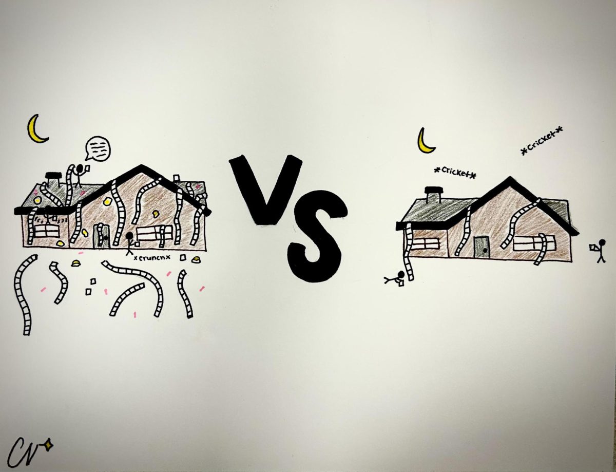 The Red ‘n’ Green believe that more students should take boundaries into
consideration when it comes to TPing season.  
