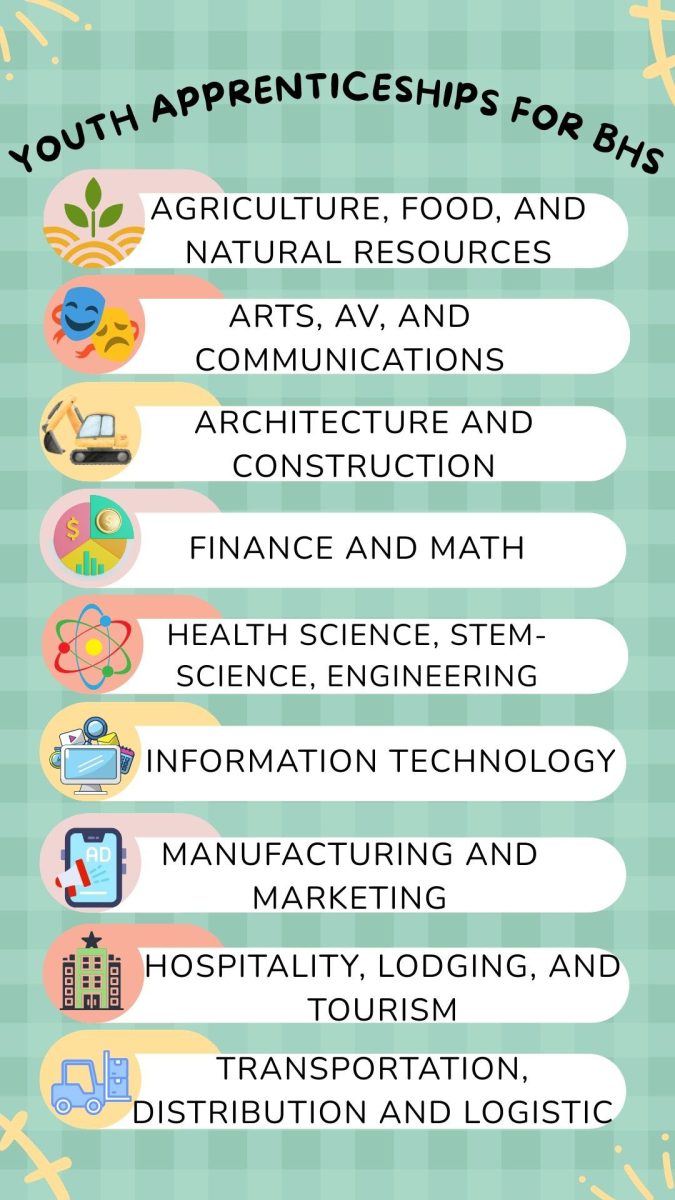 The current available programs for the Berlin Youth Apprenticeship, according to the BHS course catalog 2026-2027